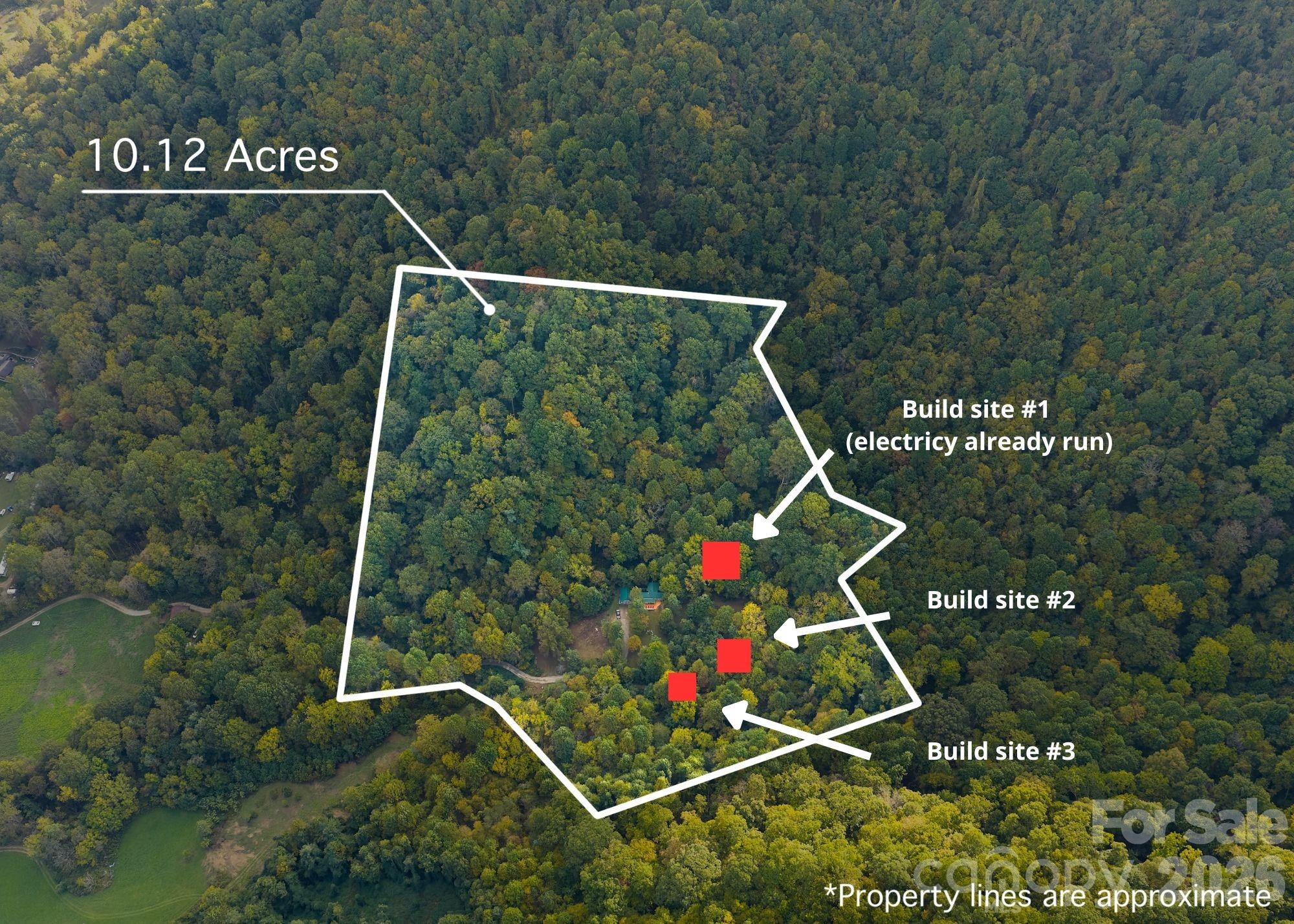 1087 North Turkey Creek Road Leicester, NC 28748 - Photo 6 of 40