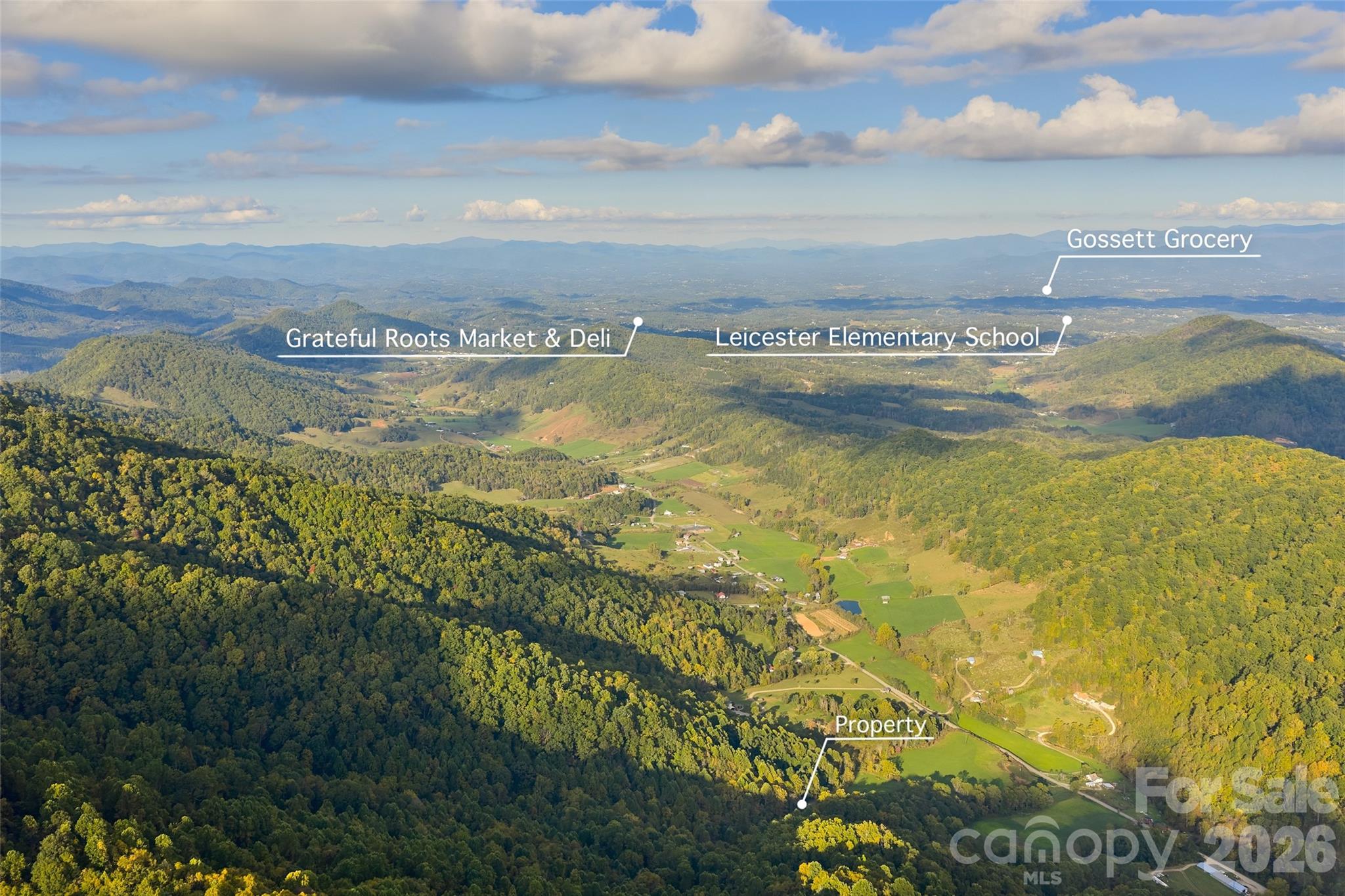 1087 North Turkey Creek Road Leicester, NC 28748 - Photo 7 of 40