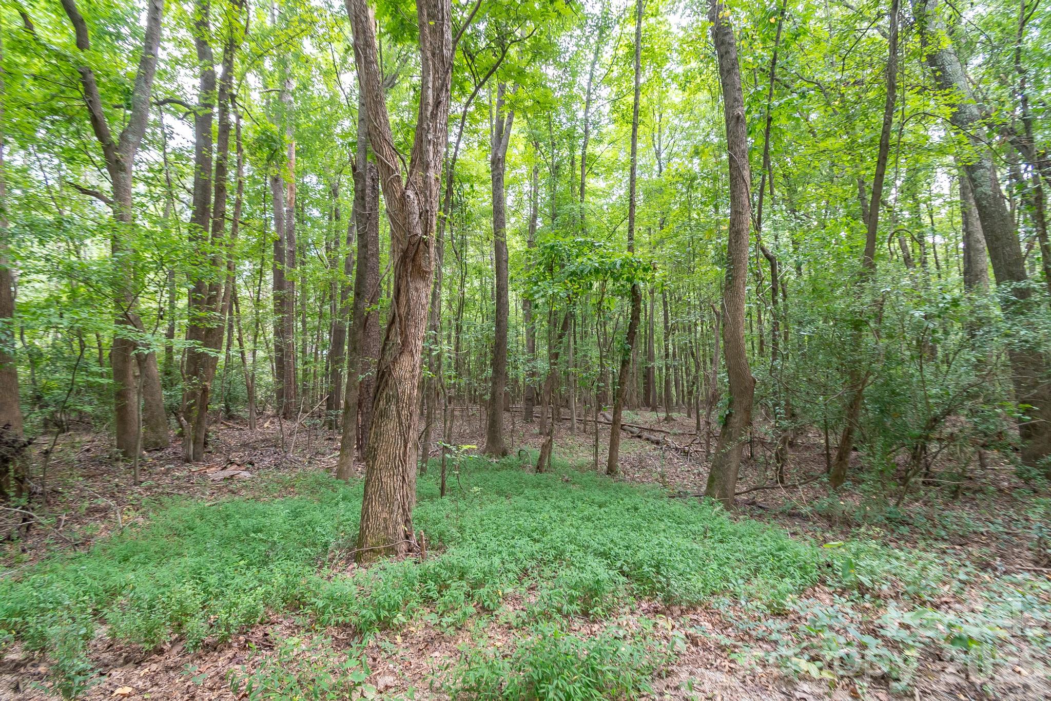 0 Bigham Road Waxhaw, NC 28173 - Photo 17 of 20 Gallery Image 17