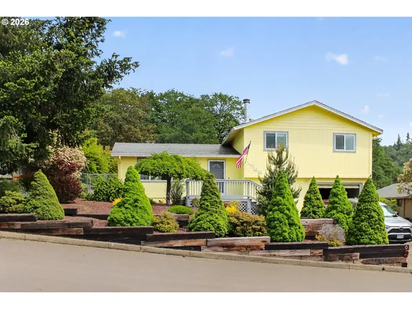 an aerial view of a house with a yard and potted plants