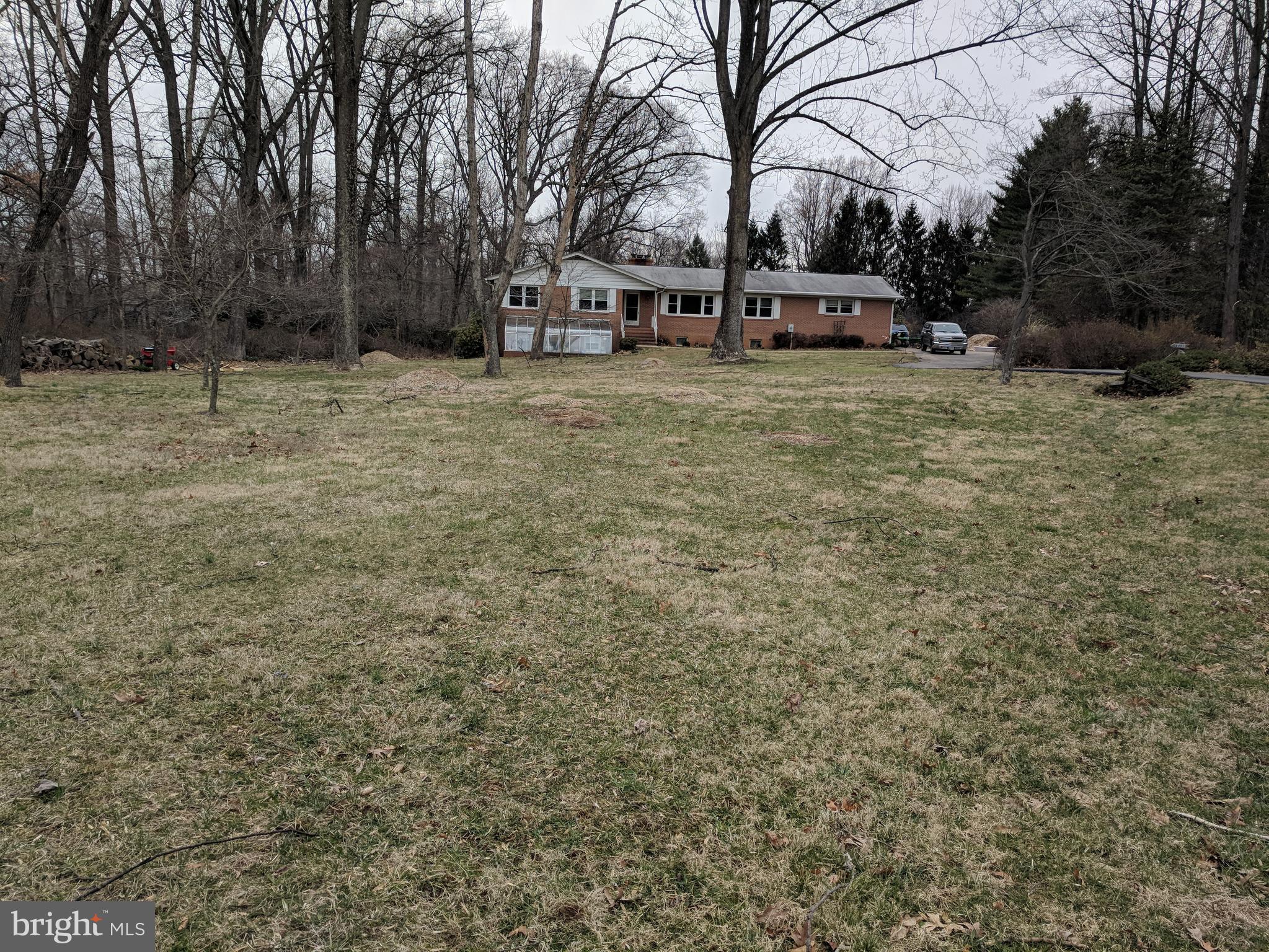 a view of a yard with a house and trees in the background