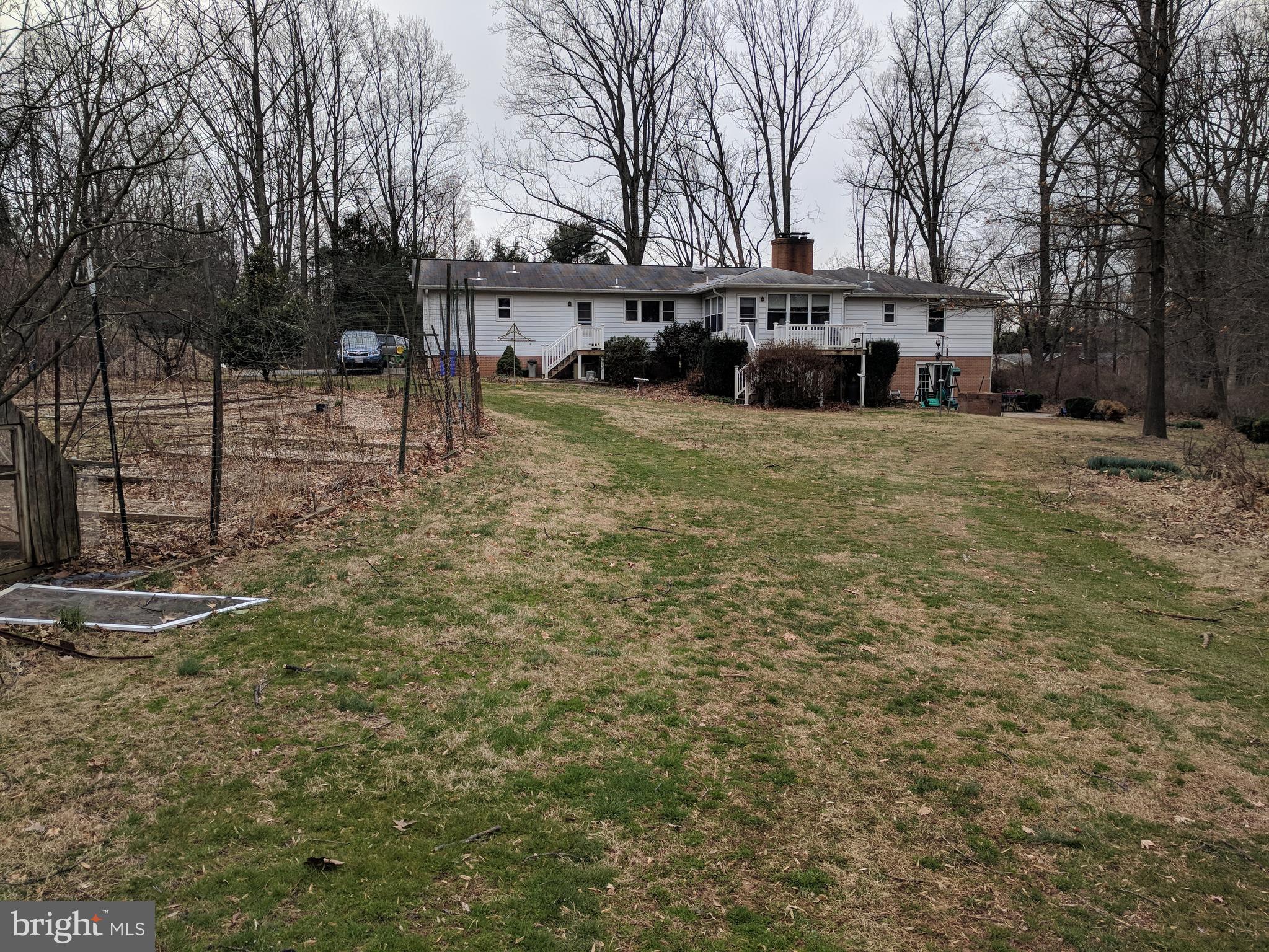 17332 Donora Road Silver Spring, MD 20905 - Photo 4 of 18 a view of a yard with trees