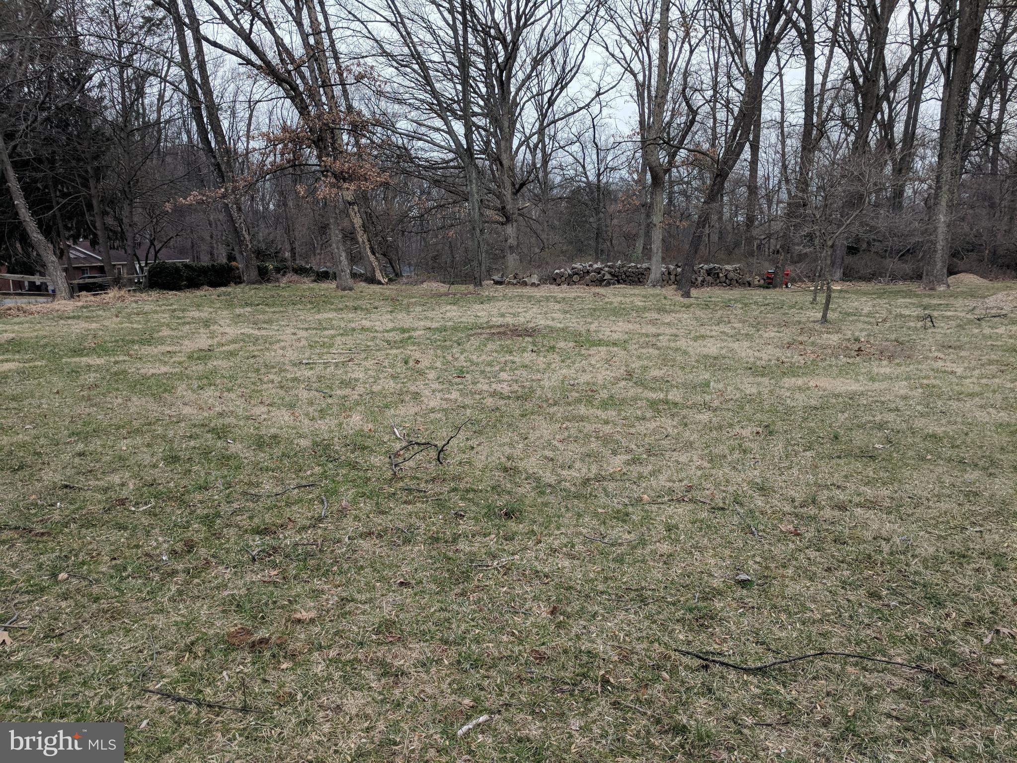 17332 Donora Road Silver Spring, MD 20905 - Photo 8 of 18 a view of outdoor space with trees