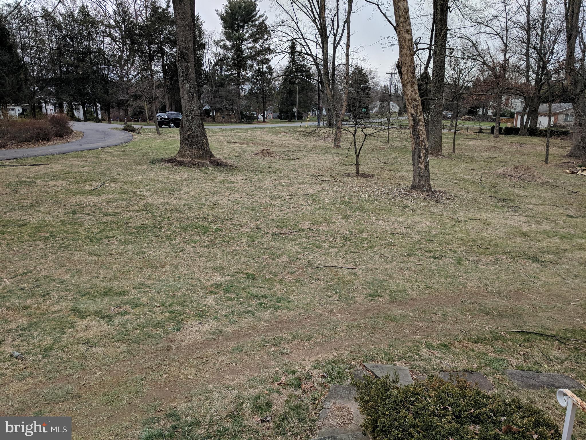 17332 Donora Road Silver Spring, MD 20905 - Photo 10 of 18 a view of outdoor space with trees