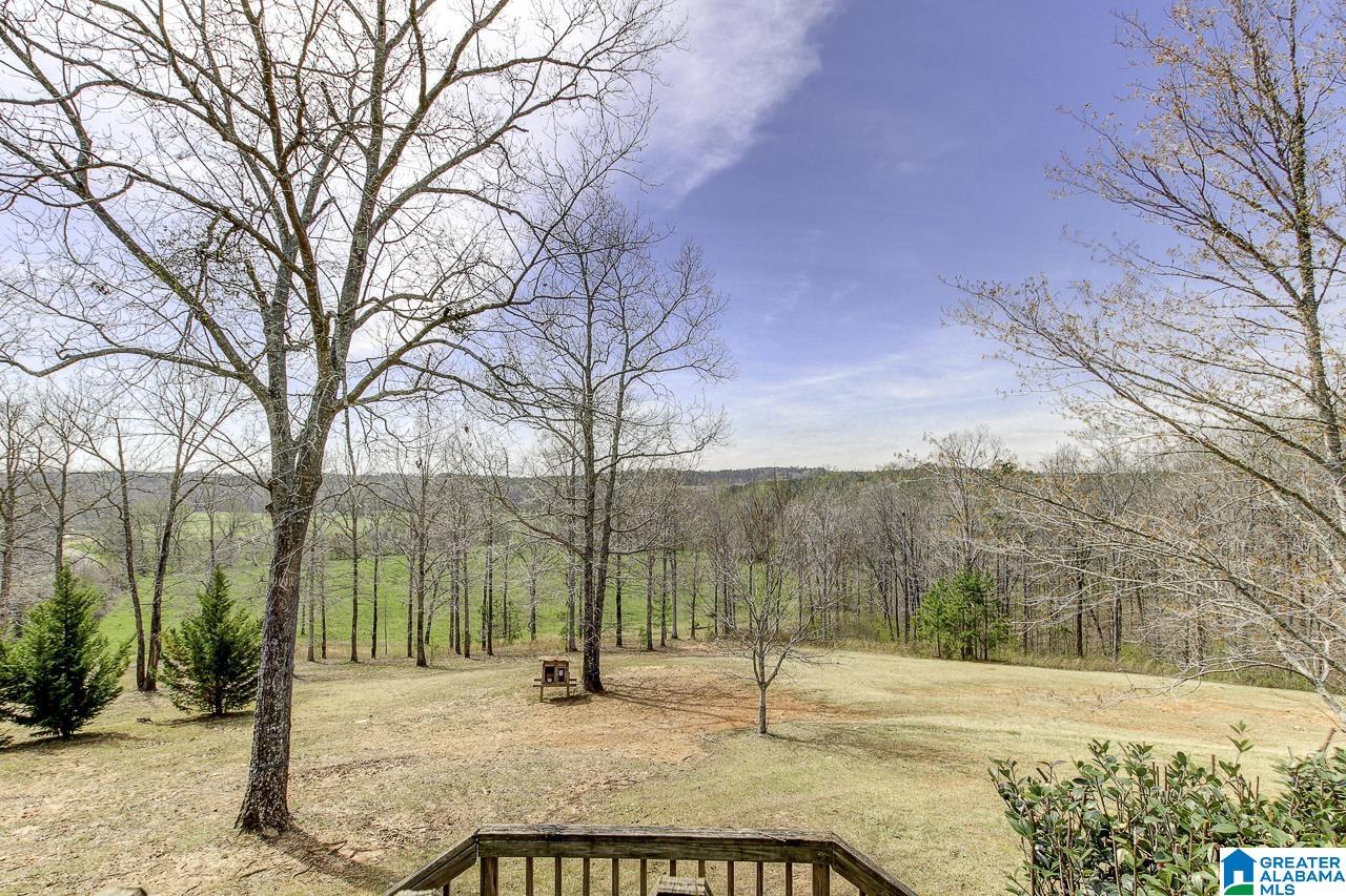 2495 County Road 46 Wedowee, AL 36278 - Photo 32 of 50