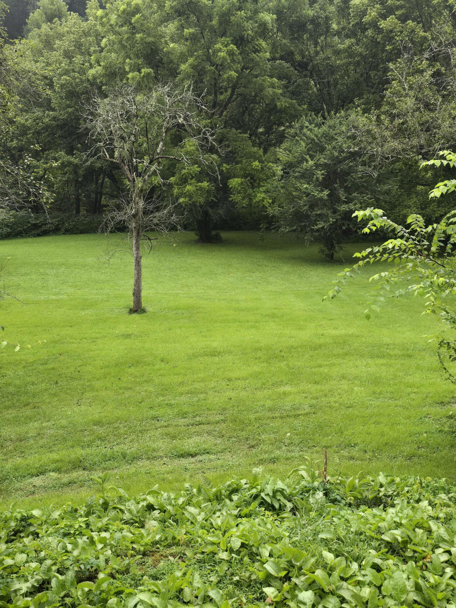 2020 Dryhill Road Hyden, KY 41749 - Photo 9 of 29 20250721_173935