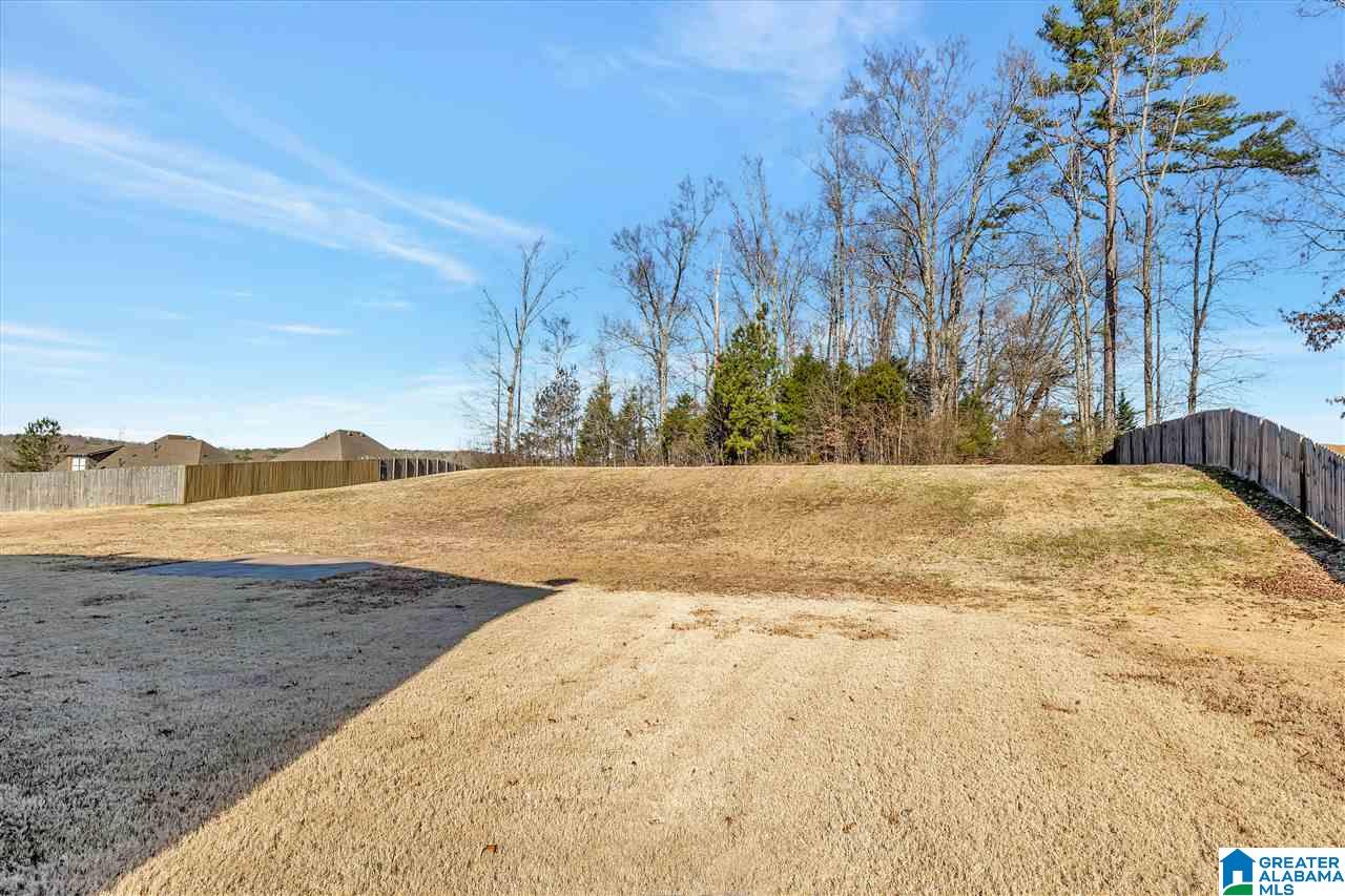 405 Ramsgate Drive Alabaster, AL 35114 - Photo 35 of 35