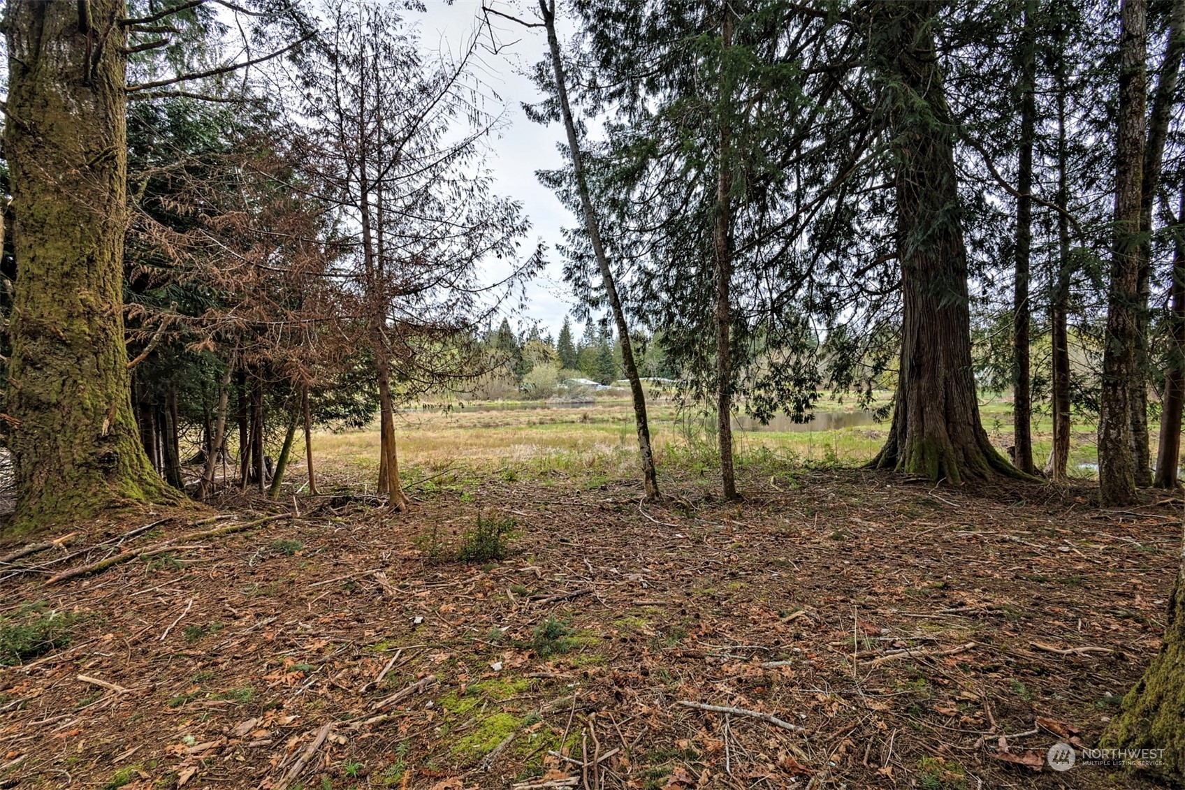 6545 East Grapeview Loop Road Allyn, WA 98524 - Photo 33 of 40 Gallery Image 33