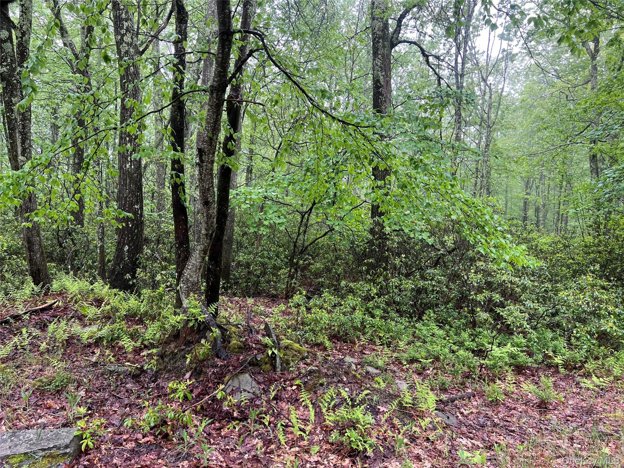 Budd Road Wurtsboro, NY 12790 - Photo 8 of 13 A hidden sactuary?