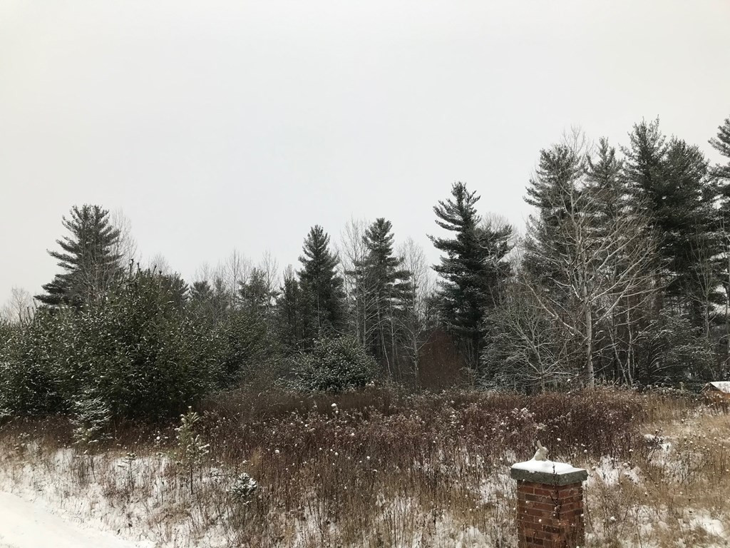Lot 22 Danielle Road Jay, NY 12941 - Photo 3 of 3 Gallery Image 3