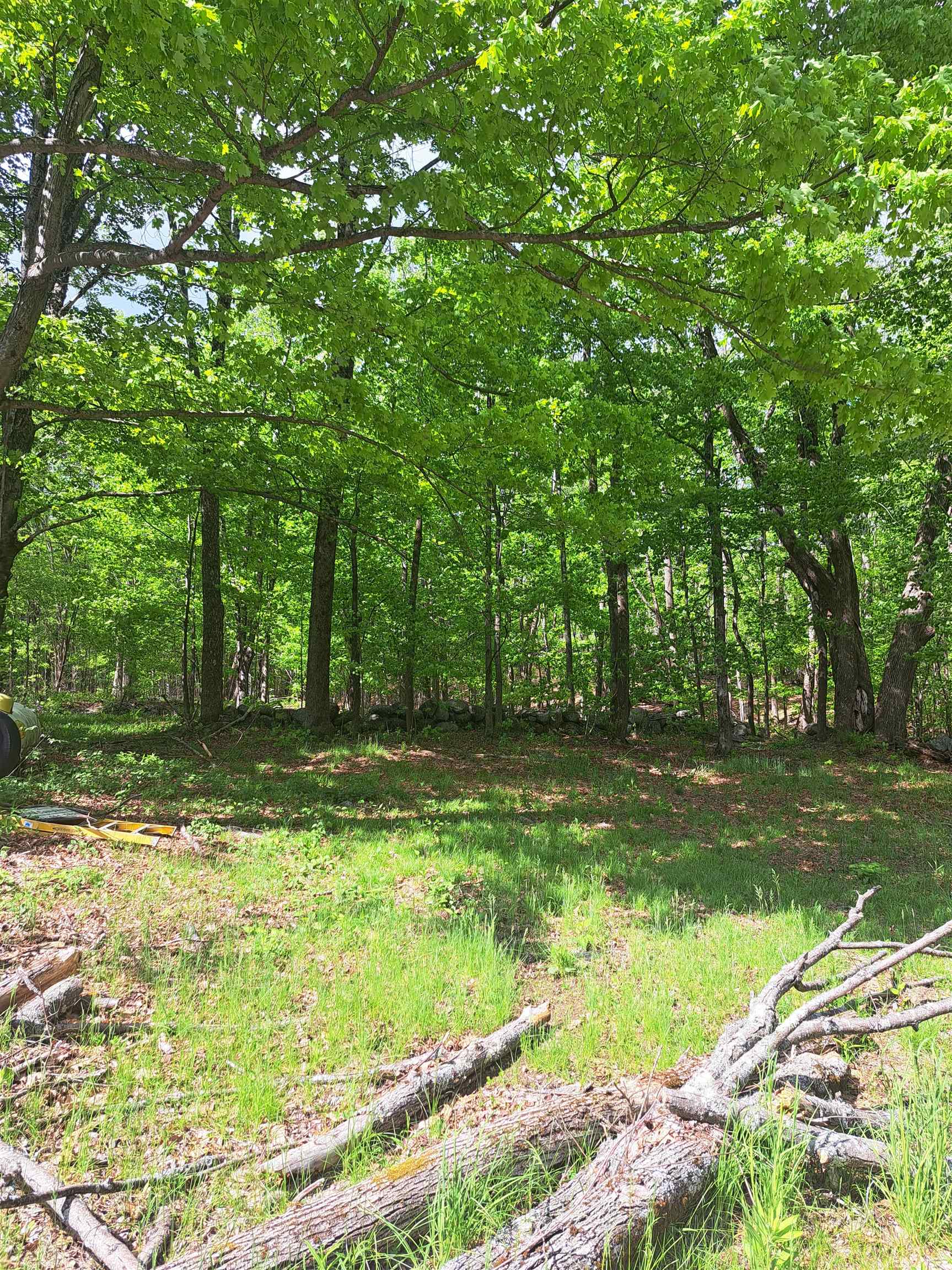 81 Hart Farm Road Deering, NH 03244 - Photo 4 of 17