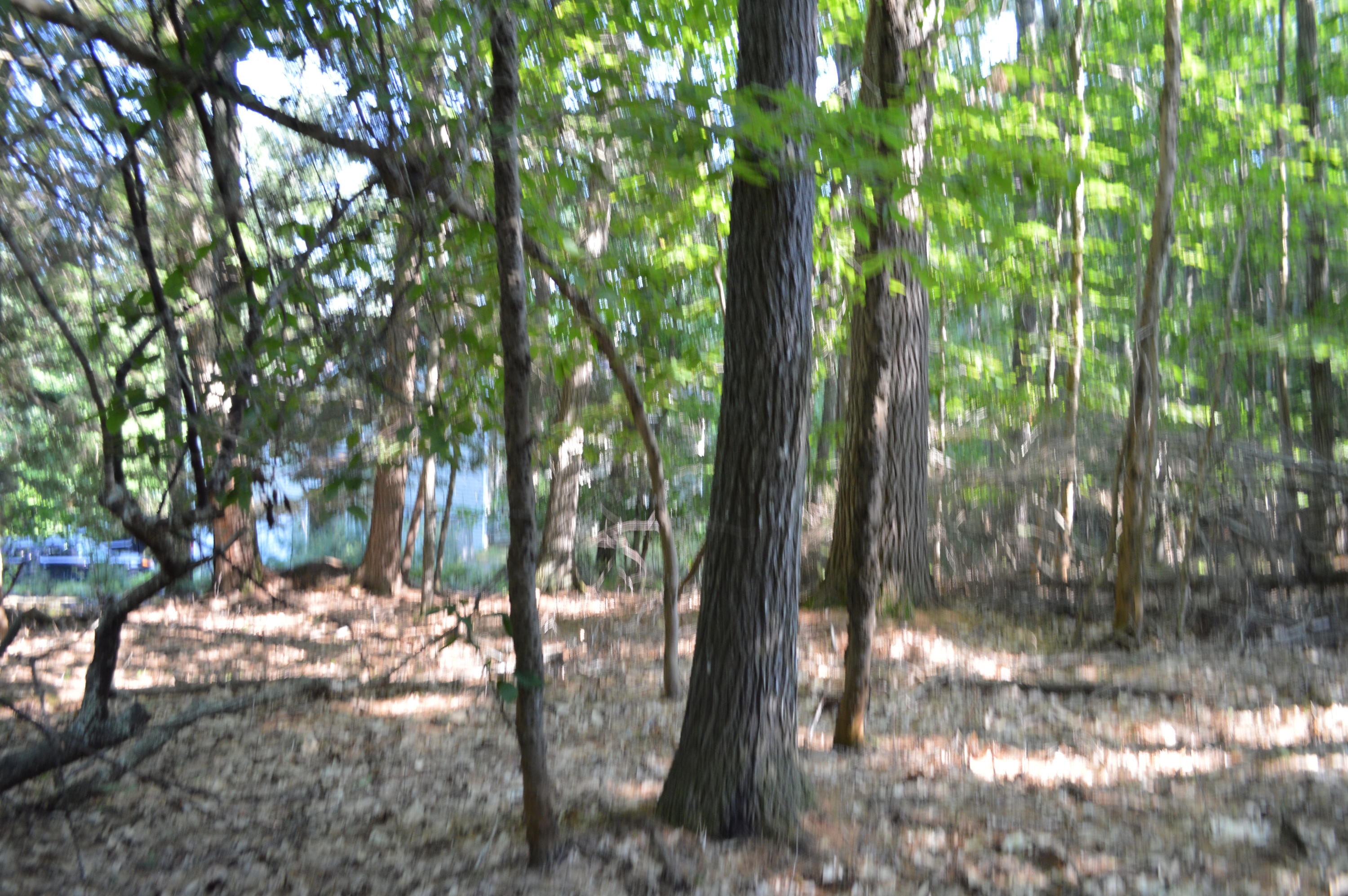 0 Environmental Windham, ME 04062 - Photo 18 of 19 DSC_0438