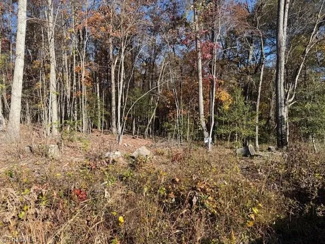 $54,000 | 0 Billings Hill Church Road, Traphill, NC 28685