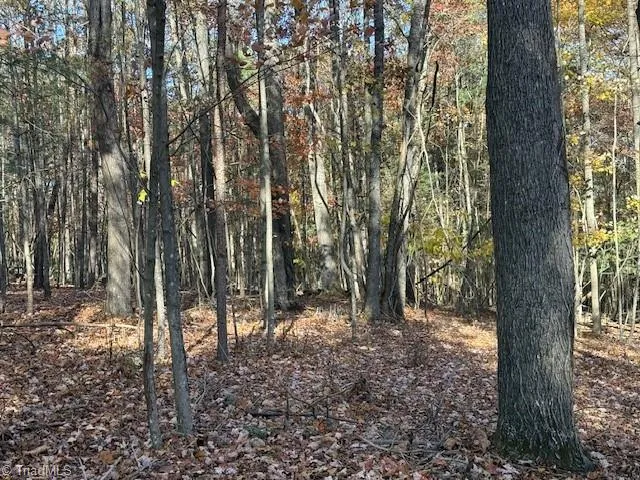 $54,000 | 0 Billings Hill Church Road, Traphill, NC 28685