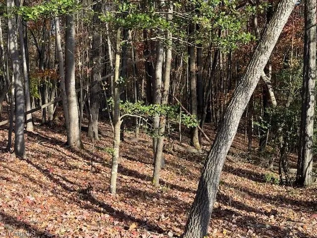 $54,000 | 0 Billings Hill Church Road, Traphill, NC 28685