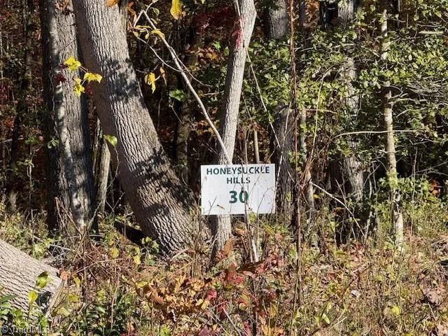 $54,000 | 0 Billings Hill Church Road, Traphill, NC 28685