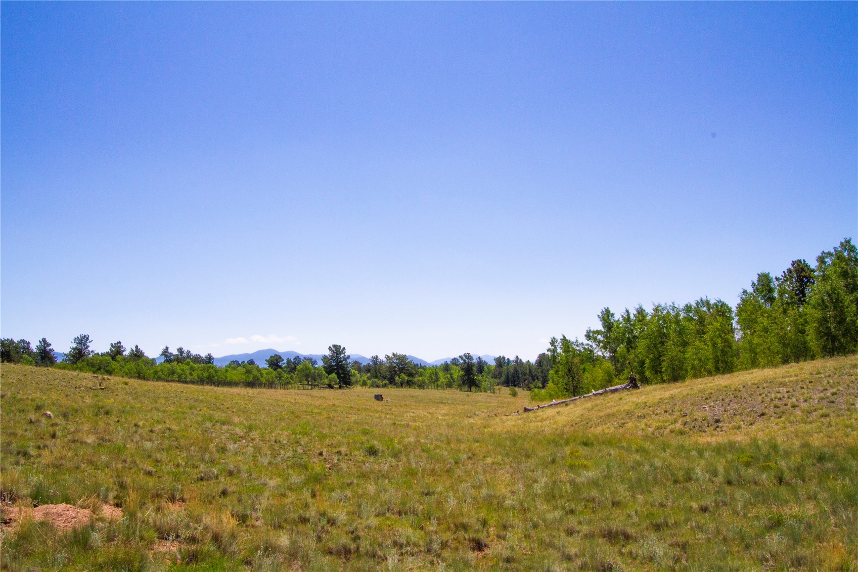 4134 Buffalo Ridge Road Como, CO 80432 - Photo 33 of 41 Gallery Image 33
