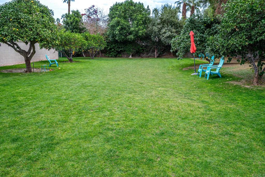 69850 Highway 111, Unit 18 Rancho Mirage, CA 92270 - Photo 32 of 41 a garden with trees and flowers