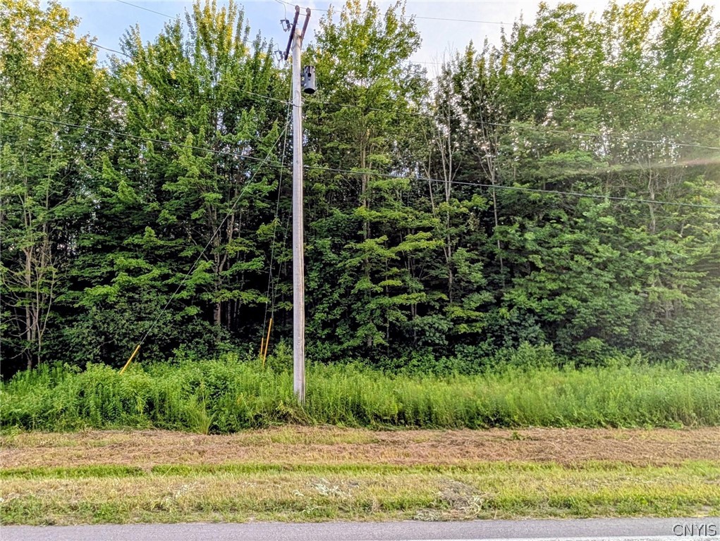 0 Co Rt 28 Pulaski, NY 13142 - Photo 1 of 3