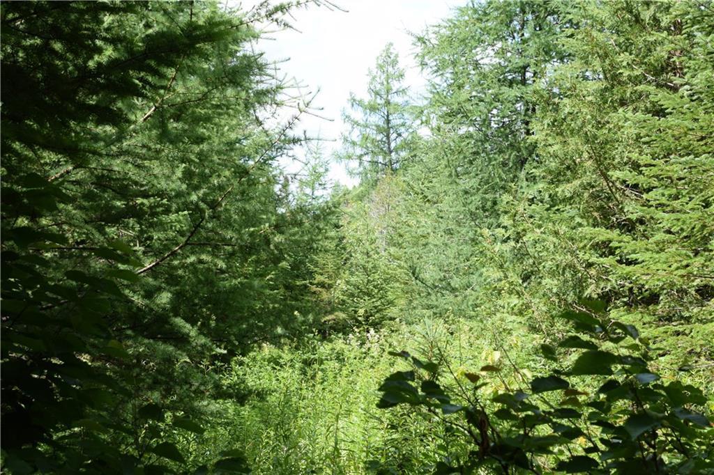 0 Jemtland Road Caribou, ME 04736 - Photo 5 of 17 Land