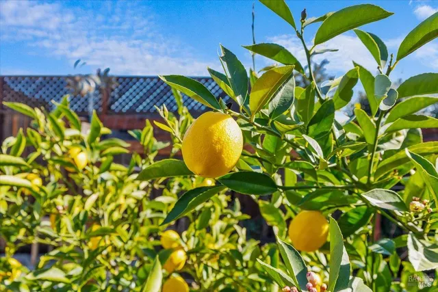 $1,495,000 | 573 Misty Court, Santa Rosa, CA 95403