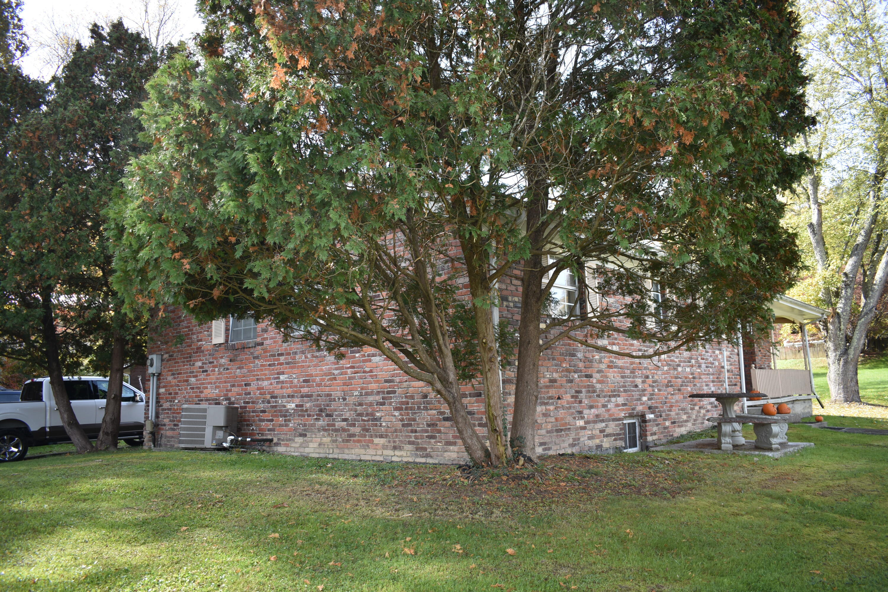 201 Lynnwood Road Middlesboro, KY 40965 - Photo 8 of 31 DSC_5467