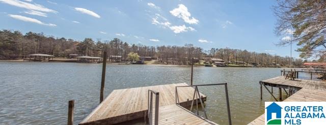 446 Coosa Island Road Cropwell, AL 35054 - Photo 44 of 44