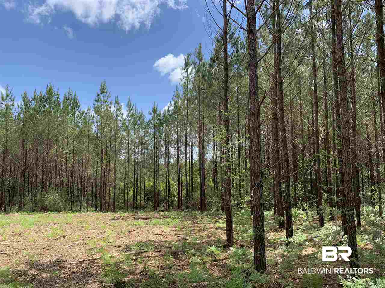 31810 Happy Hollow Road Robertsdale, AL 36567 - Photo 4 of 7