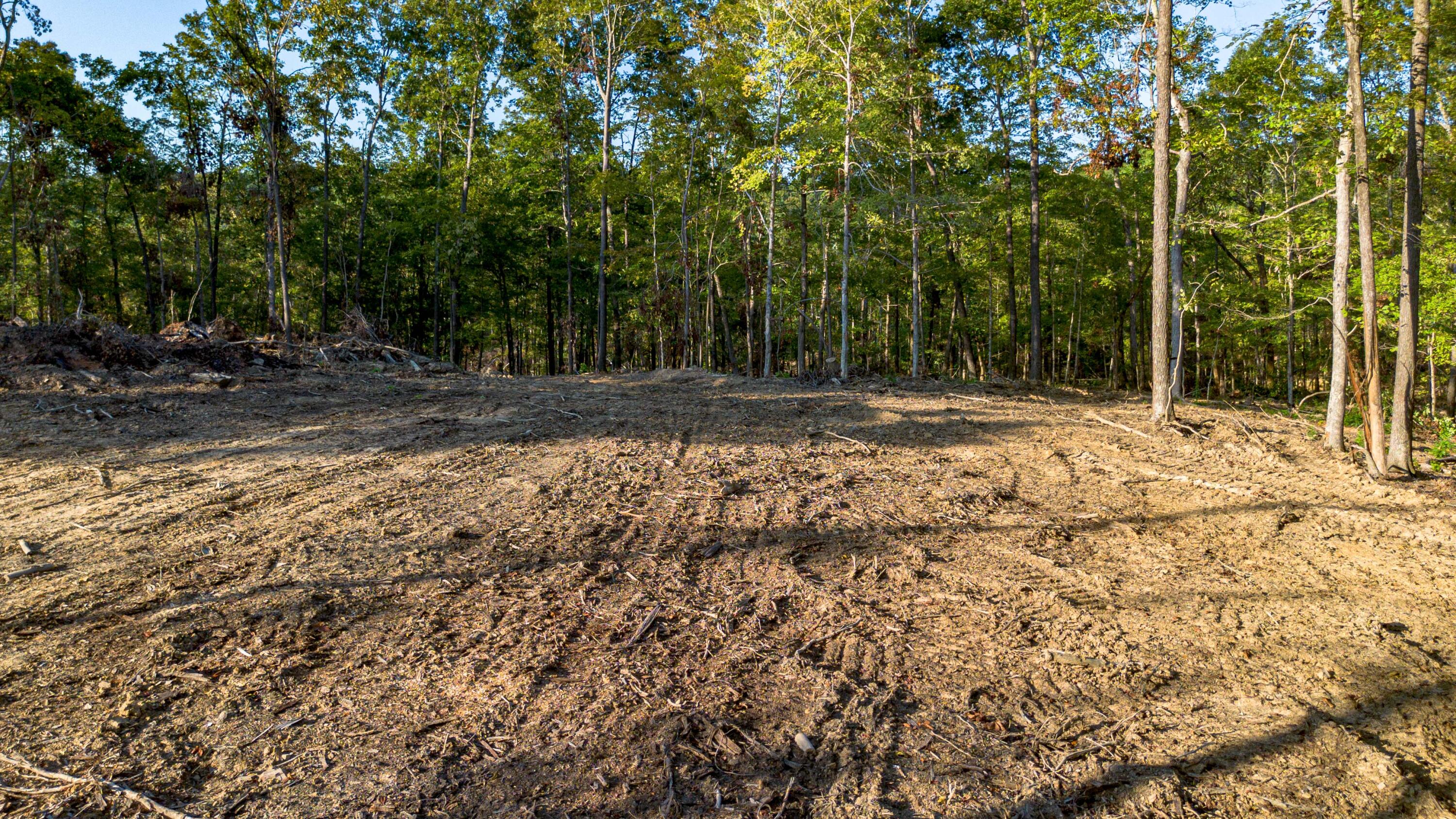 0 Irma White Road Marion, KY 42064 - Photo 11 of 15 DJI_0436