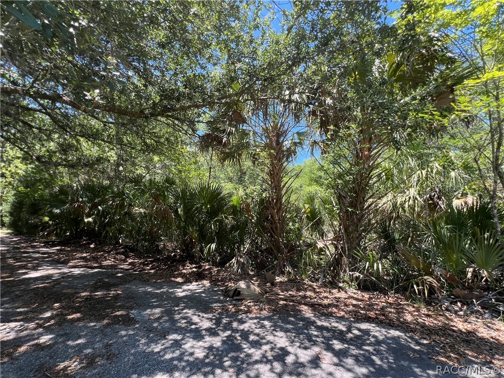384 North Staff Point Inverness, FL 34450 - Photo 11 of 13