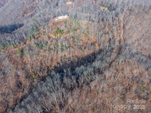 a view of a dry yard