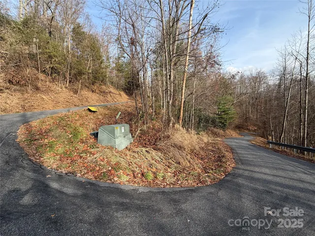 a view of a yard with large trees
