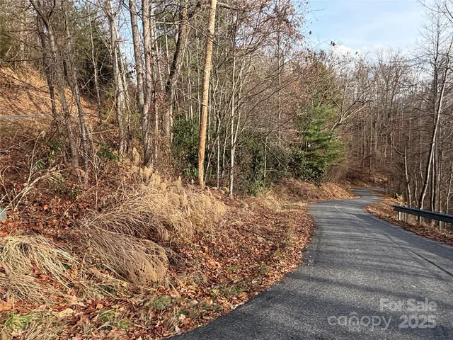 a view of a backyard with wooden fence