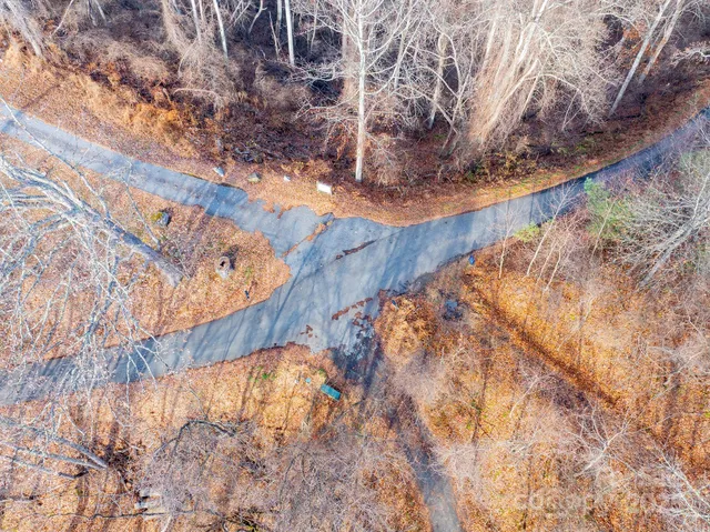 a view of a yard with plants and trees