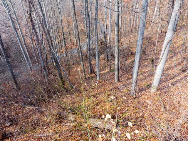 $89,000 | 0 Seven Glens Drive, Unit 171, Weaverville, NC 28787