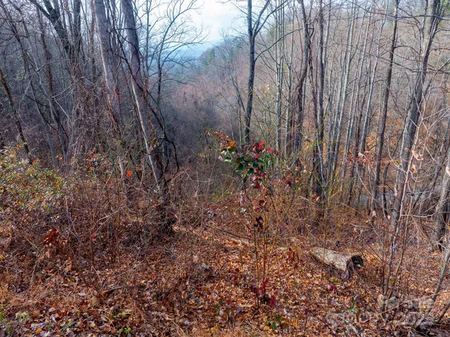 $89,000 | 0 Seven Glens Drive, Unit 171, Weaverville, NC 28787