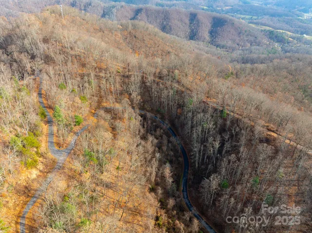 a close up of a plant