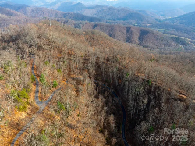 a view of a dry yard