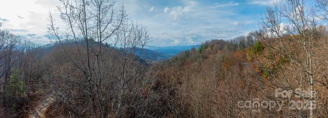 a view of a yard with plants and trees