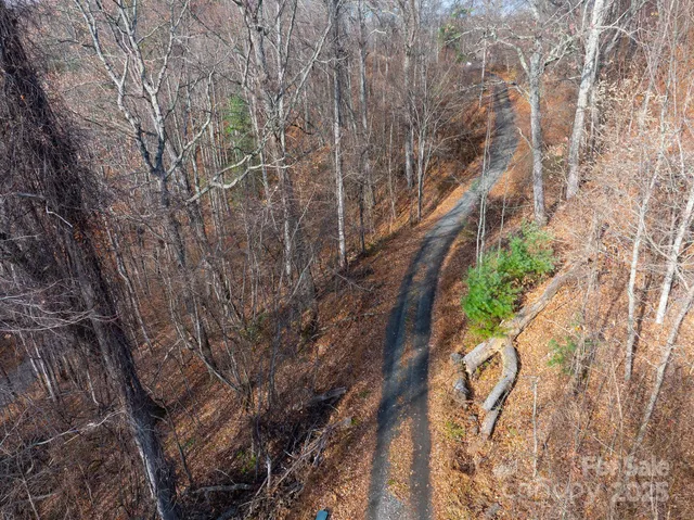 a view of a dry yard