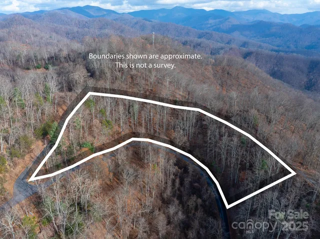 a view of a dry yard