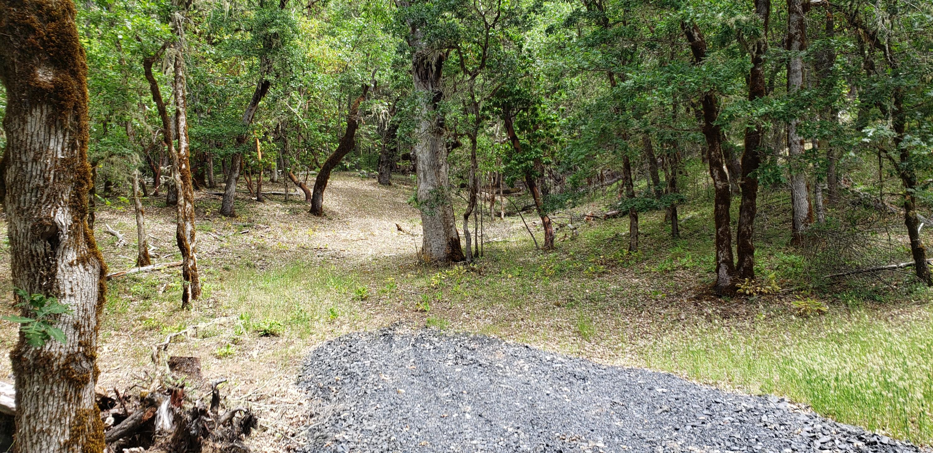 897 Ferry Road Grants Pass, OR 97526 - Photo 6 of 23 End of drive - drill water well in the o
