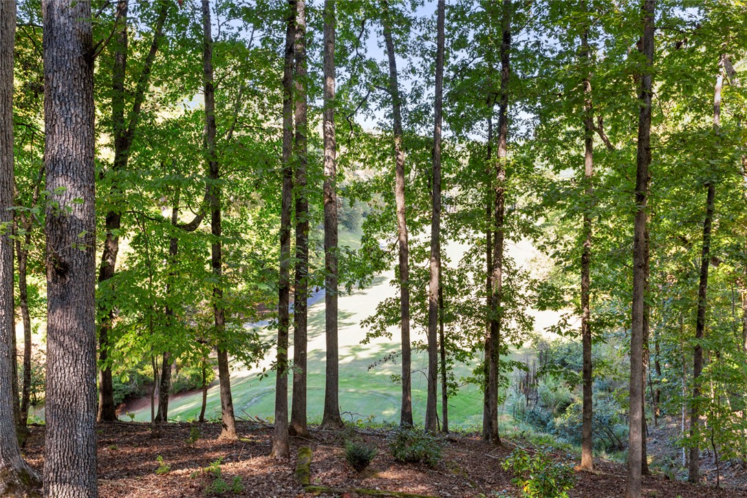 18 Mainsail Drive Salem, SC 29676 - Photo 46 of 49