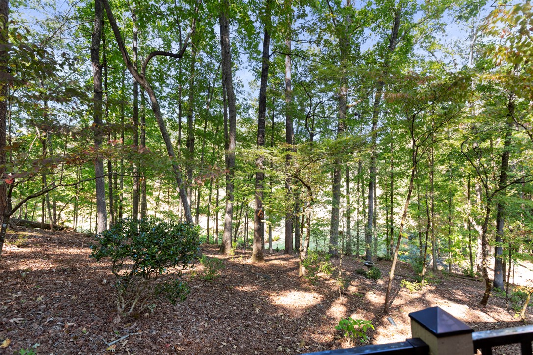 18 Mainsail Drive Salem, SC 29676 - Photo 47 of 49