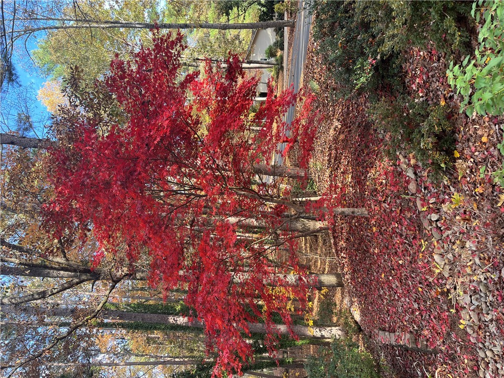 18 Mainsail Drive Salem, SC 29676 - Photo 48 of 49