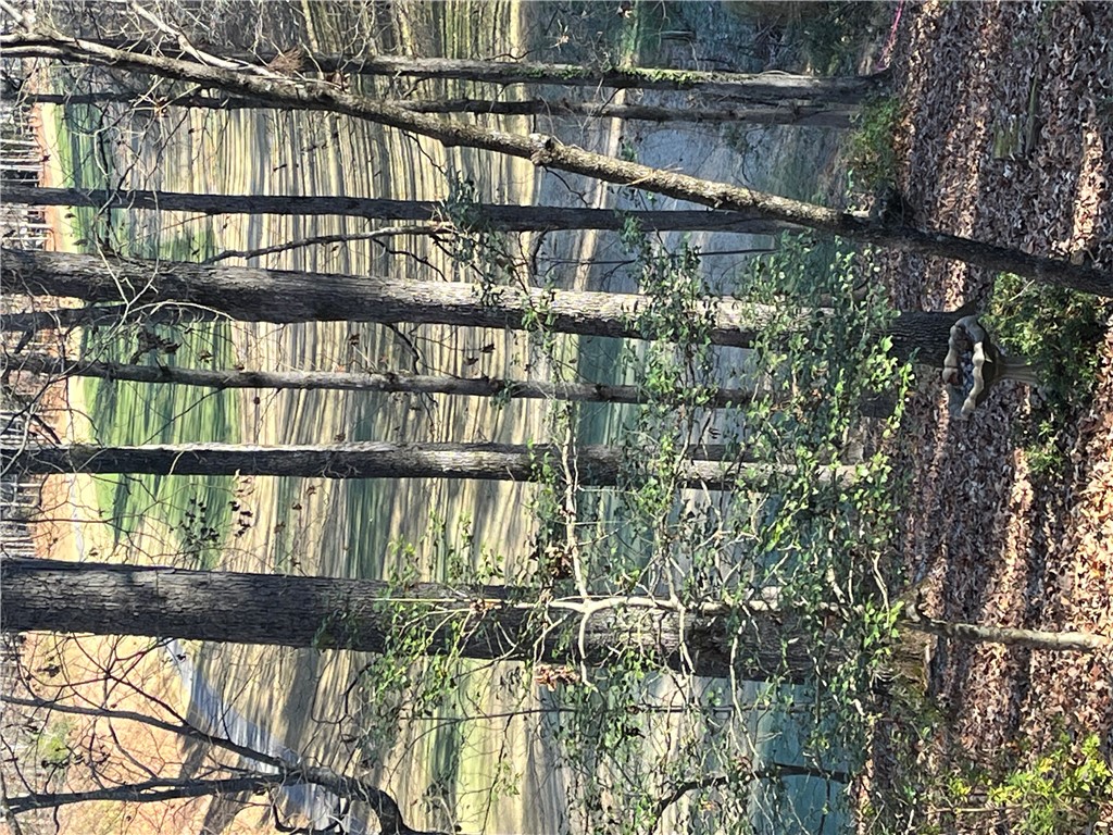 18 Mainsail Drive Salem, SC 29676 - Photo 49 of 49