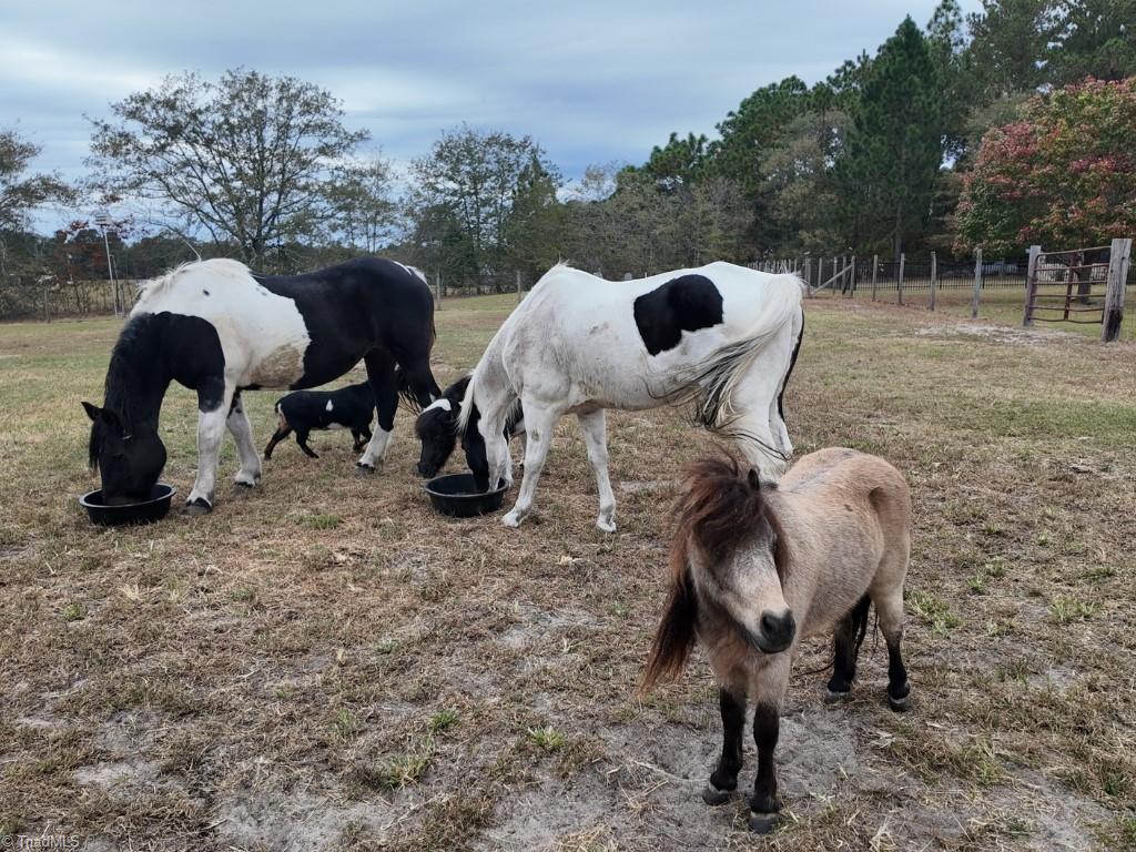 526 Springhill Church Road Hamlet, NC 28345 - Photo 38 of 50