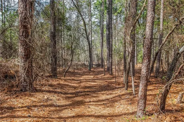 $585,000 | 526 Springhill Church Road, Hamlet, NC 28345