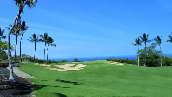 a view of a golf course with a garden