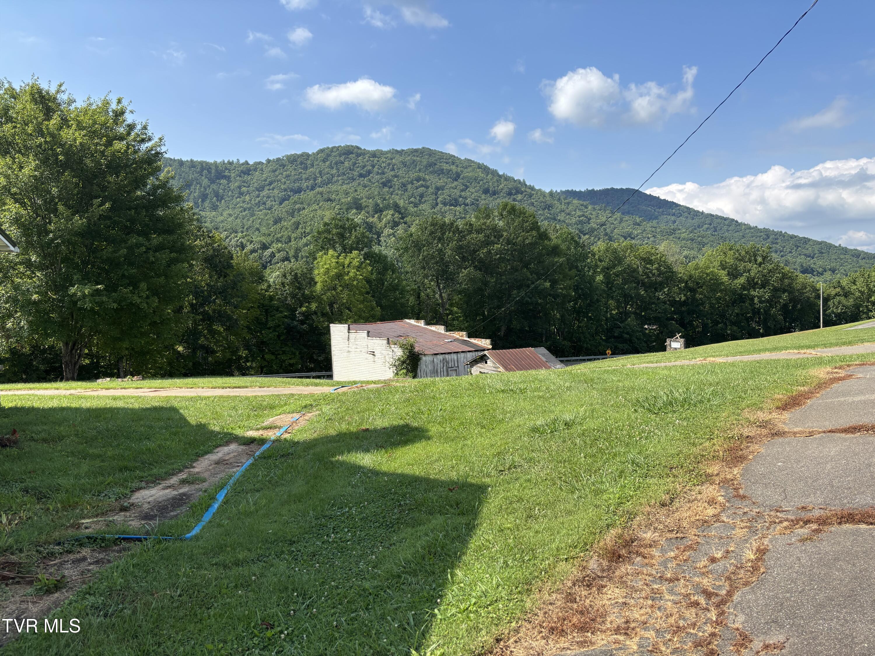 Tbd Roan Creek Road Butler, TN 37640 - Photo 17 of 51 IMG_4778
